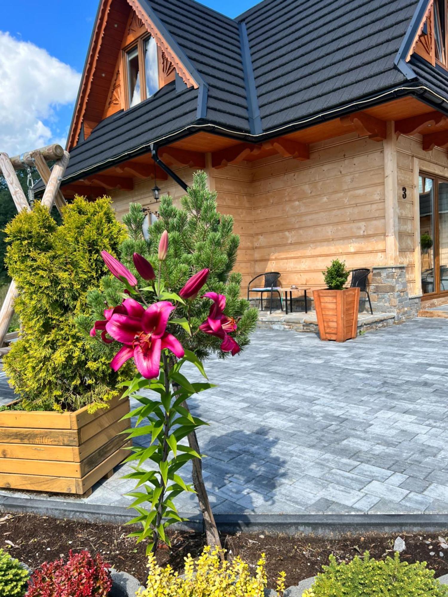 Zabie Dworki Witow Luxury Chalets & Spa Kültér fotó